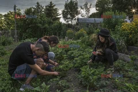 Uchodźcy w niemieckim Weimarze - NYT