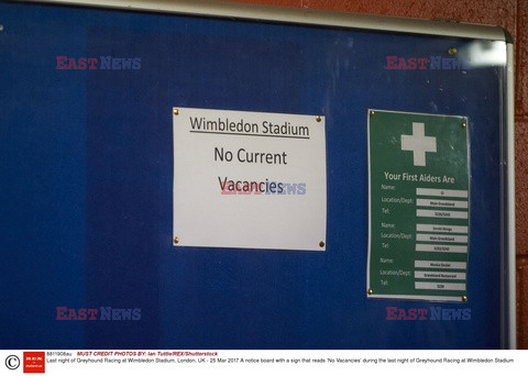 Ostatnie wyścigi chartów w Wimbledonie