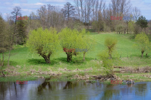 Podlasie Marek Bazak