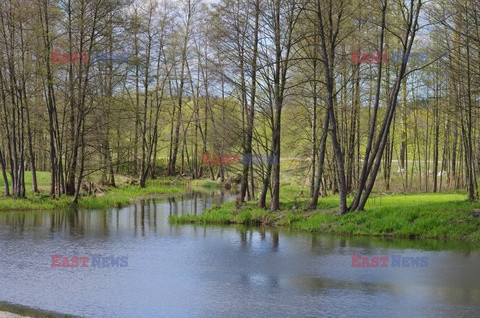 Podlasie Marek Bazak