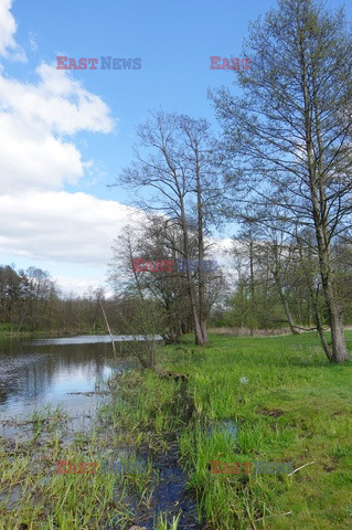 Podlasie Marek Bazak