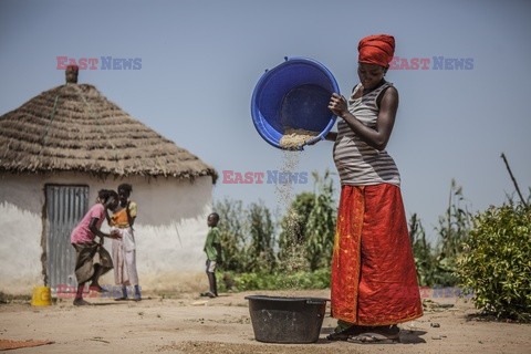 Produkcja żywności w Senegalu - Redux