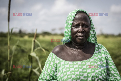 Produkcja żywności w Senegalu - Redux