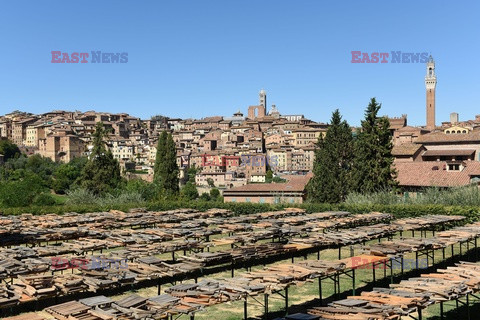 Palio di Siena - Eyevine