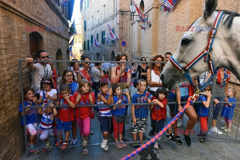 Palio di Siena - Eyevine