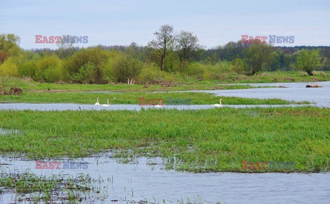 Podlasie Marek Bazak