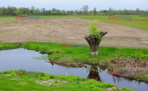 Podlasie Marek Bazak