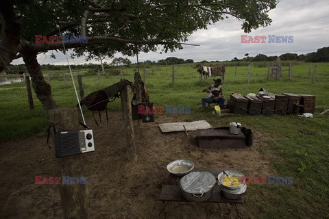 Kowboje z Mato Grosso - AFP