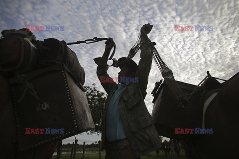 Kowboje z Mato Grosso - AFP