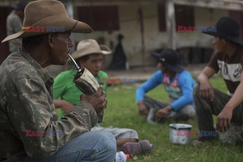 Kowboje z Mato Grosso - AFP