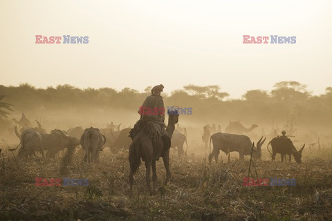 Życie codzienne w Czadzie - VU Images