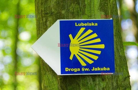 Lubelskie MaBa