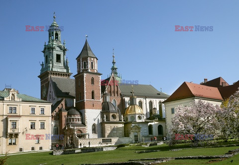 Małopolska Monk