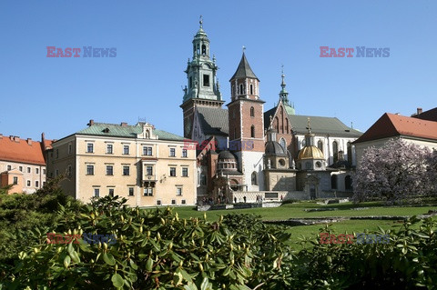 Małopolska Monk