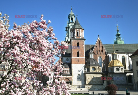 Małopolska Monk