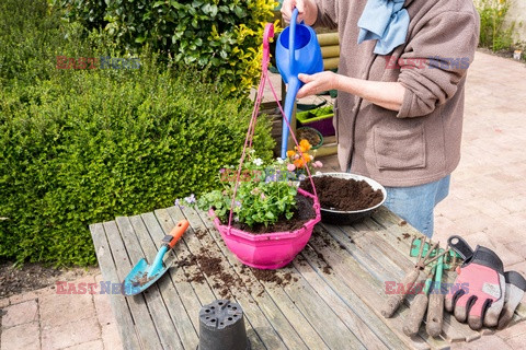 Bios Gardens ftp July 2017