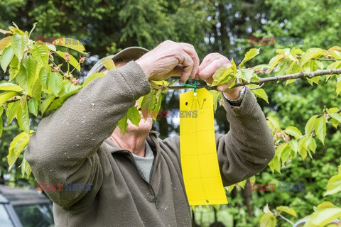 Bios Gardens ftp July 2017