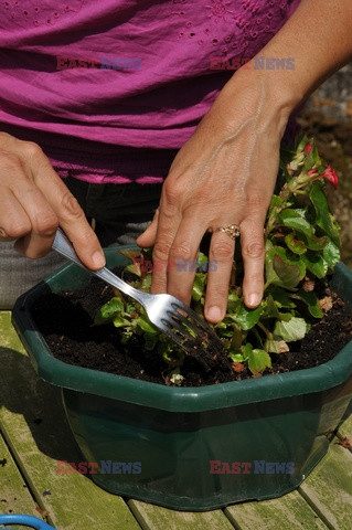 Bios Gardens ftp July 2017