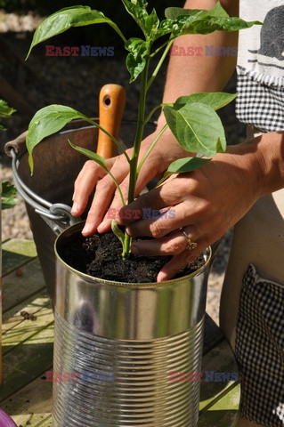 Bios Gardens ftp July 2017