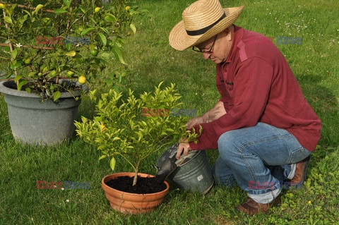 Bios Gardens ftp July 2017