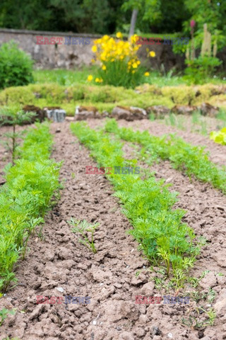 Bios Gardens ftp July 2017