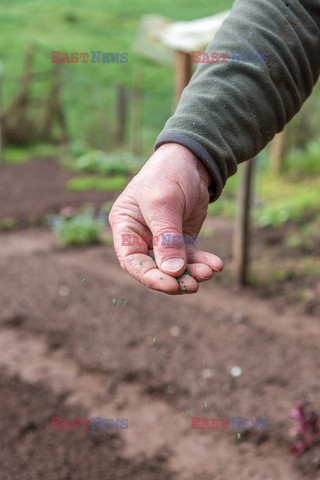 Bios Gardens ftp July 2017