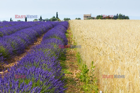 Bios Gardens ftp July 2017