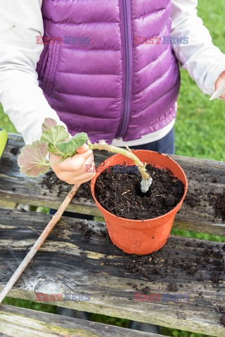 Bios Gardens ftp July 2017