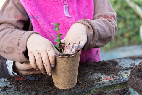 Bios Gardens ftp July 2017