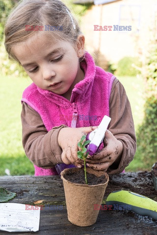 Bios Gardens ftp July 2017