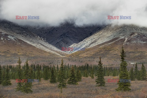 Park Narodowy Denali na Alasce - Redux