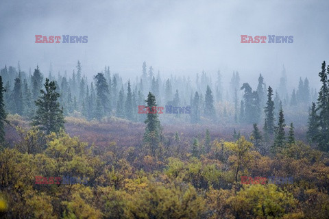 Park Narodowy Denali na Alasce - Redux