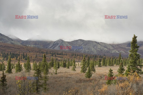 Park Narodowy Denali na Alasce - Redux