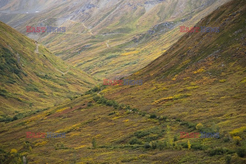 Park Narodowy Denali na Alasce - Redux