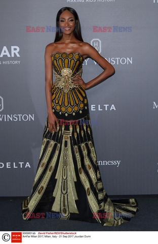 Gala Amfar w Mediolanie