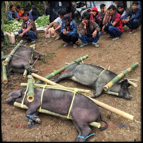 Rytuał śmierci ludu Toraja w Indonezji - Redux