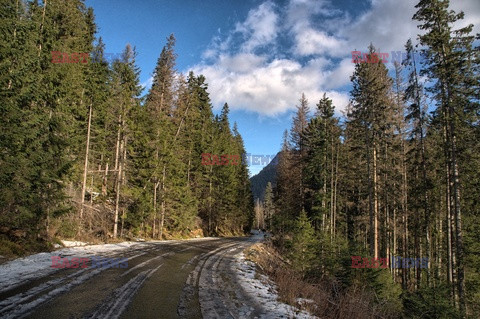 Polskie Tatry Albin Marciniak