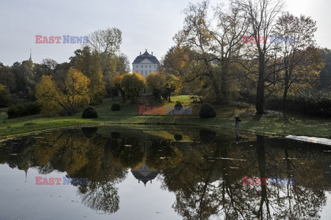 Złota polska jesień