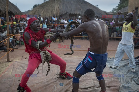 Kongo - Hollande Hoogte