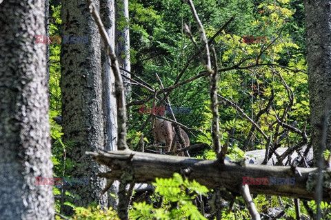 Polskie Tatry Albin Marciniak