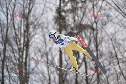 FIS Ski Jumping World Cup Wisla 2017