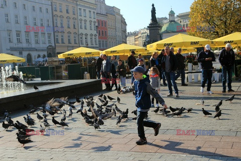 Małopolska MaZa