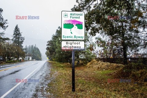 Zjazd fanów Wielkiej Stopy - Redux