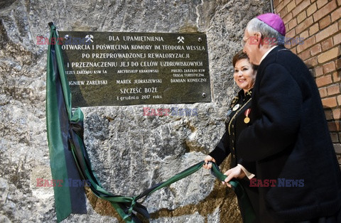 Komora "Jezioro Weissel " w Uzdrowisku Kopalnia Soli " Wieliczka "