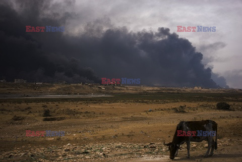 Irak walczy z ISIS - Vu Images