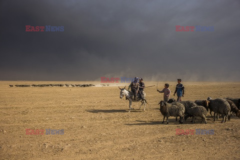 Irak walczy z ISIS - Vu Images