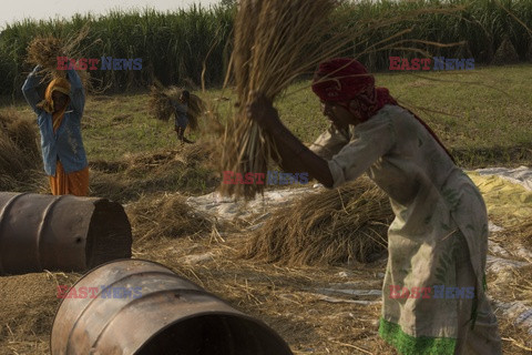 Indie, Haiti, Wietnam - problem z toaletami - Noor Images