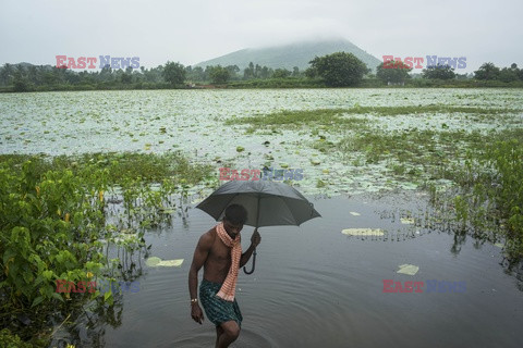 Indie, Haiti, Wietnam - problem z toaletami - Noor Images