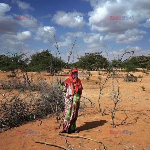 Susza w Somalilandzie - Redux