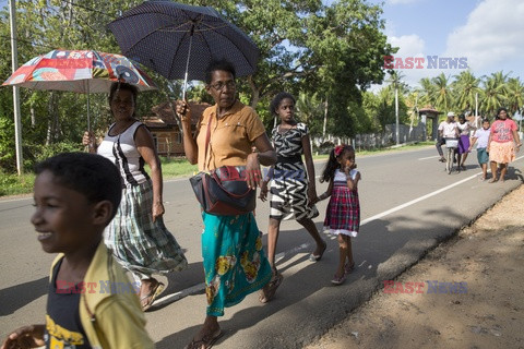 Afrykanie ze Sri Lanki - Redux